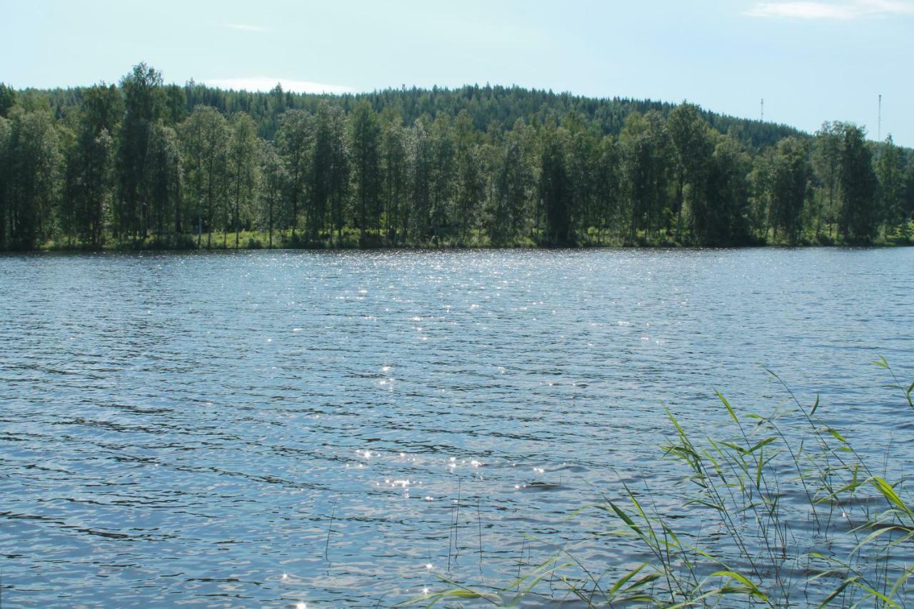 Коттедж В Финляндии, Enonkoski Exterior photo