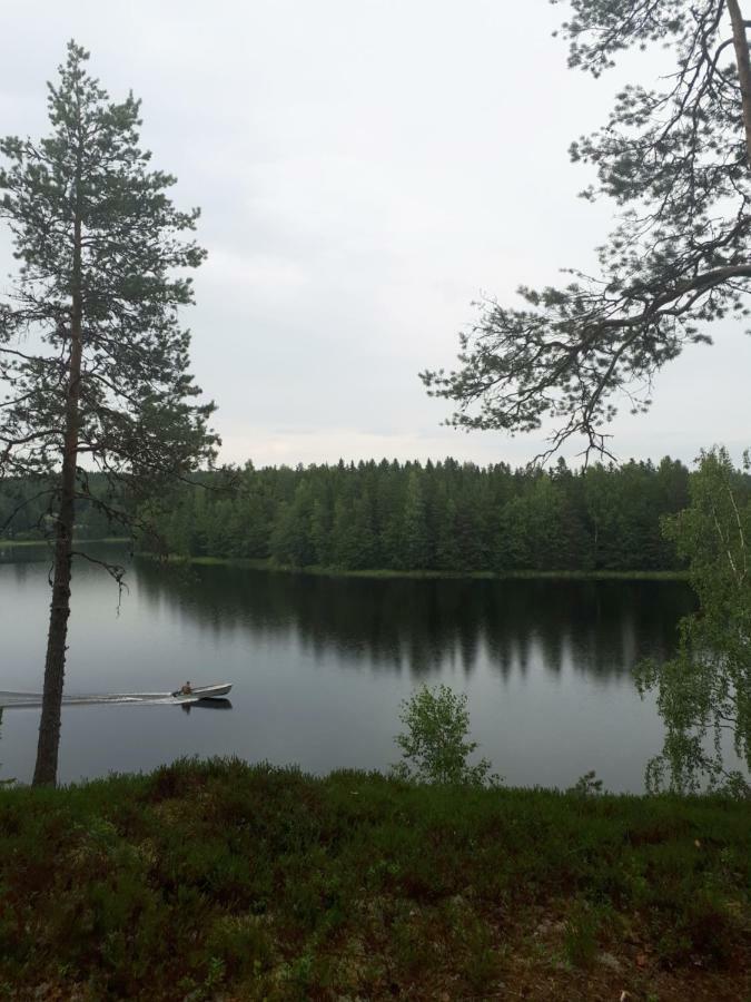 Коттедж В Финляндии, Enonkoski Exterior photo