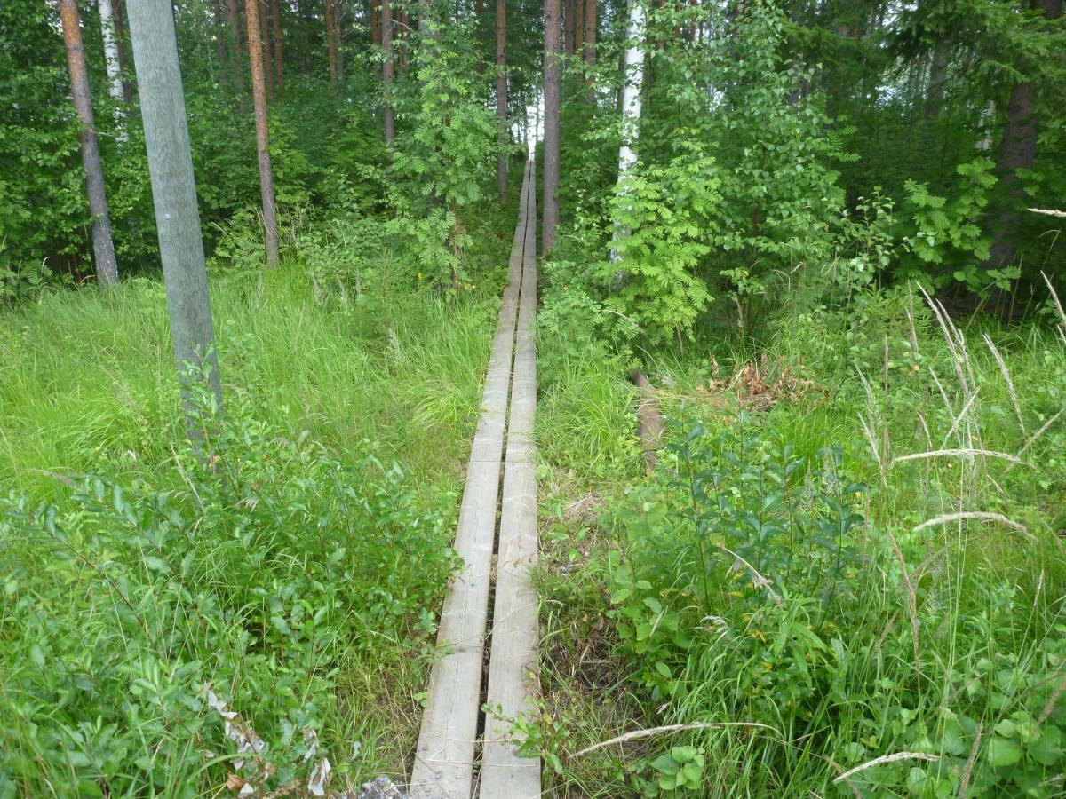 Коттедж В Финляндии, Enonkoski Exterior photo